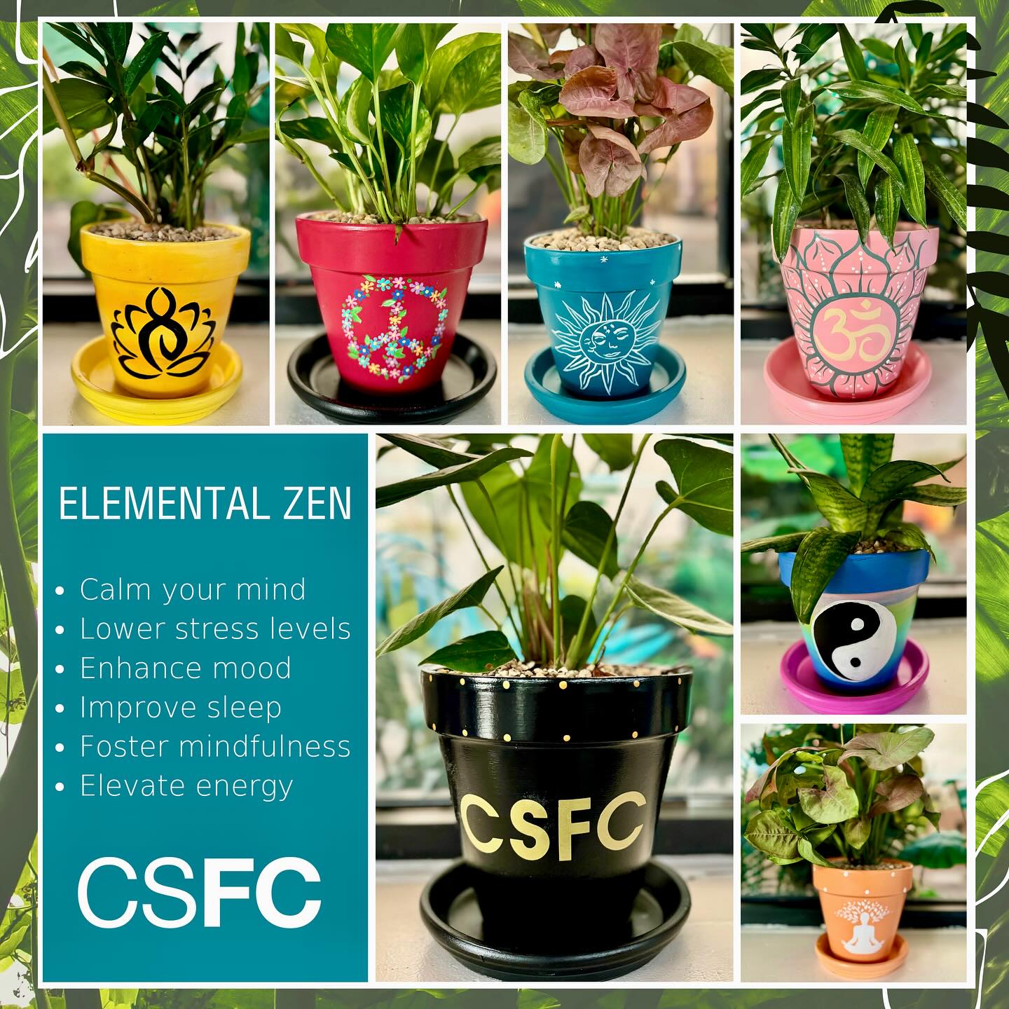 Zen Zone Improvements - Bringing Nature’s Power to Your Practice 🧘‍♀️
